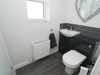 Picture 14